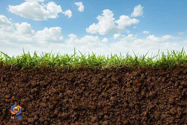 Bentonite in agriculture